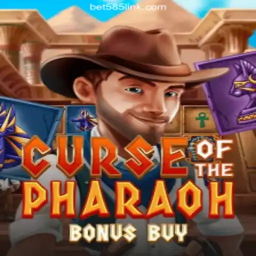 Bet585.COM platform-Oficial Slots Brasil #1 Bingo Games